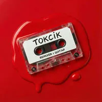 REMIXER