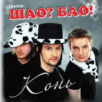 Шао  Бао!