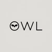Sleepy Owl